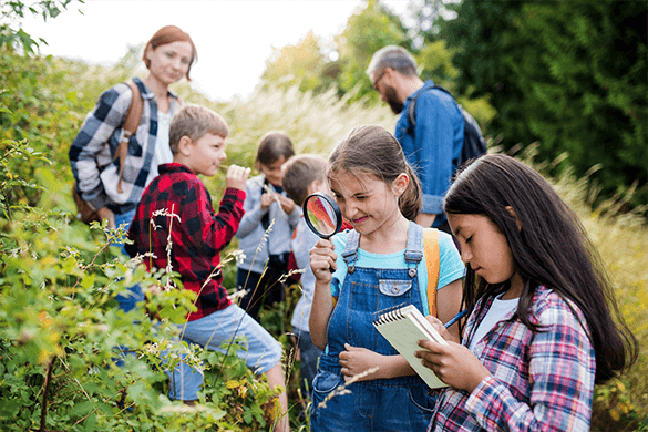 field trip bus rentals in louisville