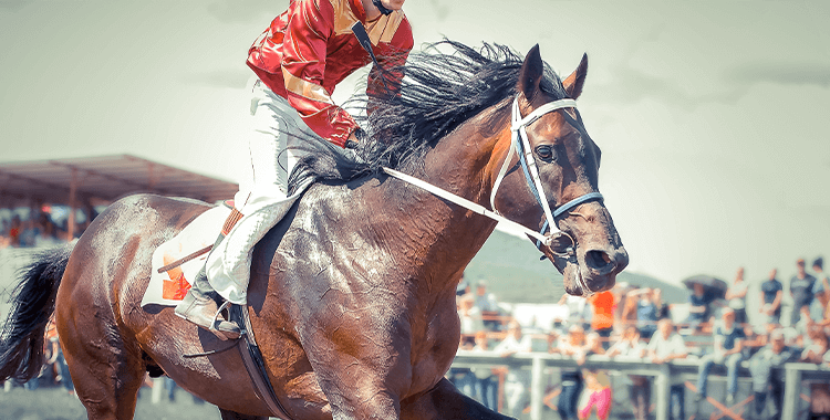 book a charter bus to the kentucky derby